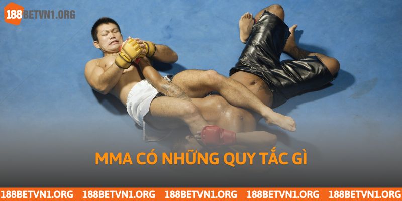 MMA Là Gì? Tìm Hiểu Về Võ Thuật Tổng Hợp Cùng 188bet 3 MMA có những quy tắc gì