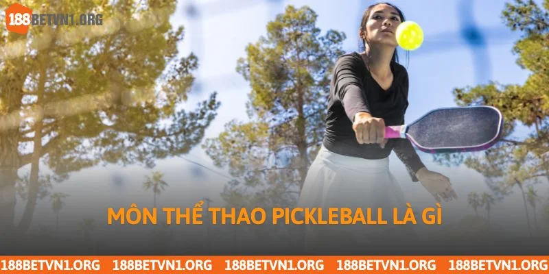 Pickleball Là Gì? Tìm Hiểu Cùng Chuyên Gia Từ 188bet 2 Môn thể thao Pickleball là gì