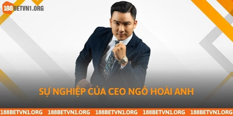 CEO Ngô Hoài Anh 1 Sự nghiệp của CEO Ngô Hoài Anh