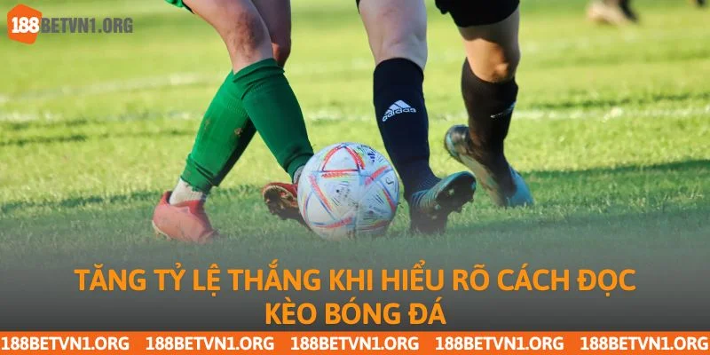 Tăng tỷ lệ thắng khi hiểu rõ cách đọc kèo bóng đá